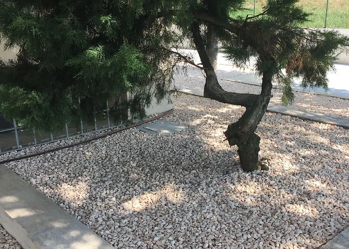 Corso Europa Piacenza