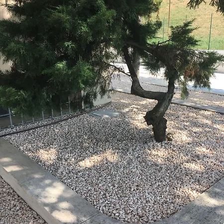 Corso Europa Piacenza